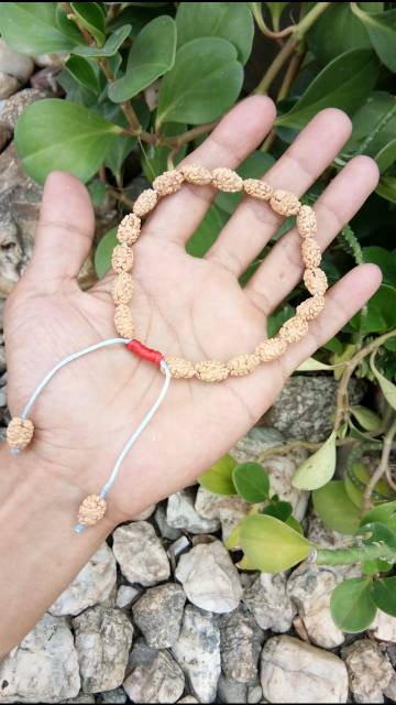 GELANG  JENITRI RUDRAKSHA MUKHI 2