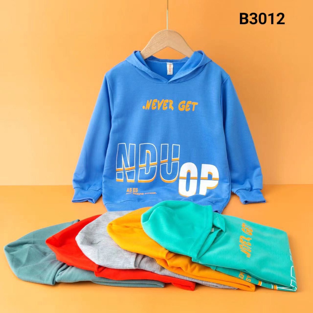 HOODIE ANAK IMPORT NEVER GET B3012