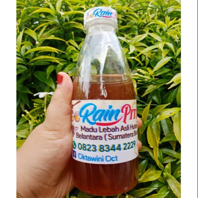 

MADU LEBAH ASLI HUTAN BELANTARA