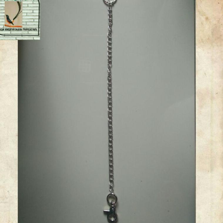 [KODE D6601] RANTAI BORGOL UJUNG BESI UNTUK KAKI BURUNG KAKAK TUA