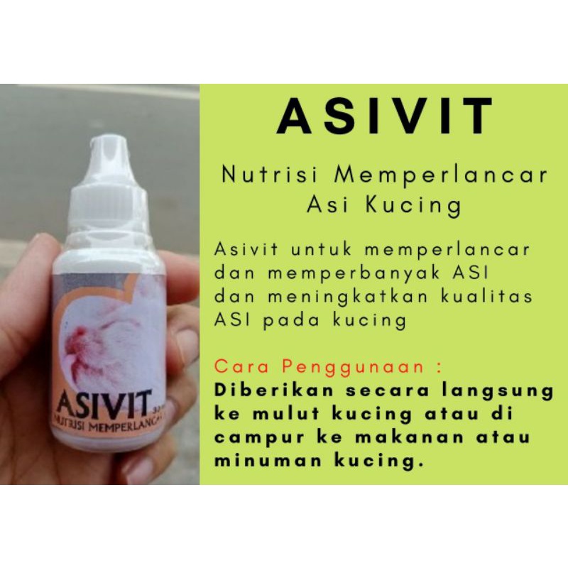 asifit kucing/vitamin asi kucing