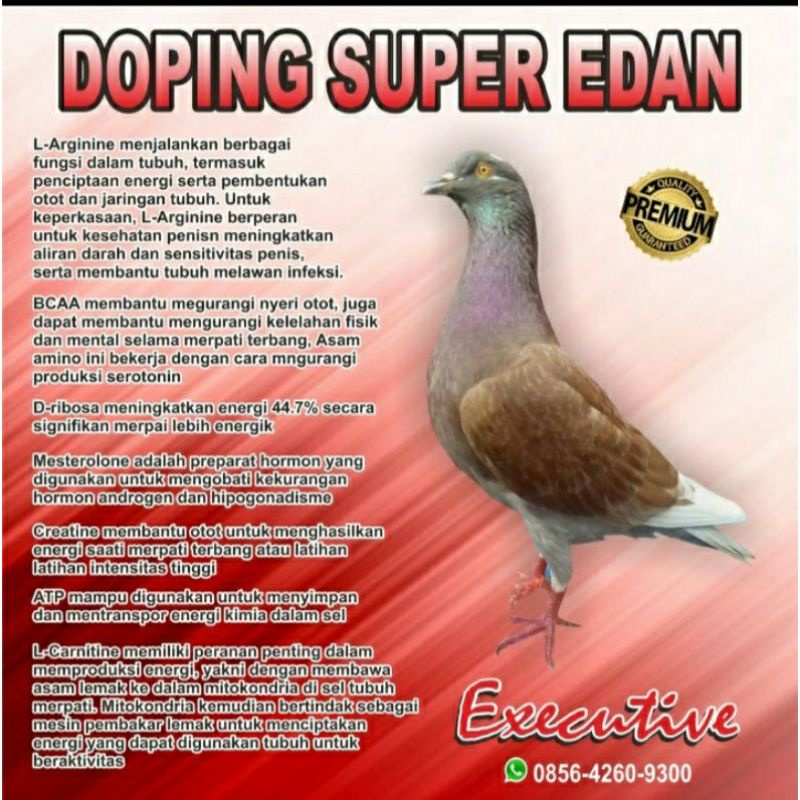 doping super edan super edan Merpati Untuk Merpati Kolongan