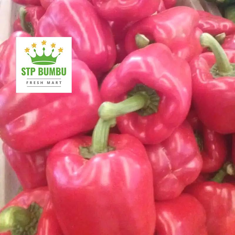 Paprika Merah Segar Fresh 1kg Sayur