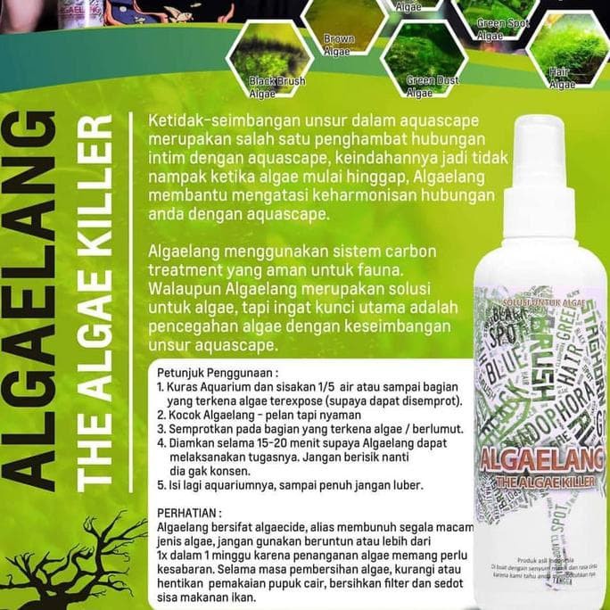 algaelang algae elang pembasmi algae aquarium aquascape algae killer