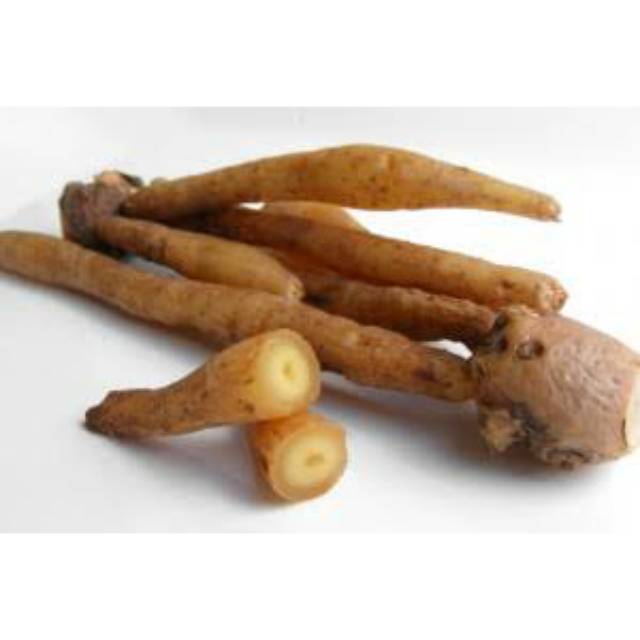 

TEMU KUNCI BUMBU DAPUR per 25gr