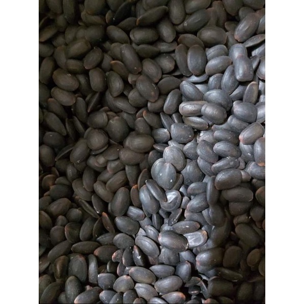 

BIJI KEDAWUNG, DAWUNG 250 GRAM