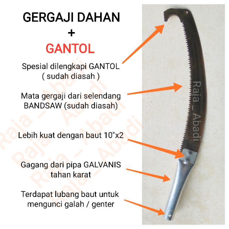 GERGAJI DAHAN DAN GANTOL - gergaji dahan dilengkapi gantol - gergaji lengkung gantol - gergaji ranting - gergaji dahan kuat - gergaji dahan sudah dikikir siap pakai - sudah dikikir tajam - potong ranting pohon tinggi - gergaji kopi - graji