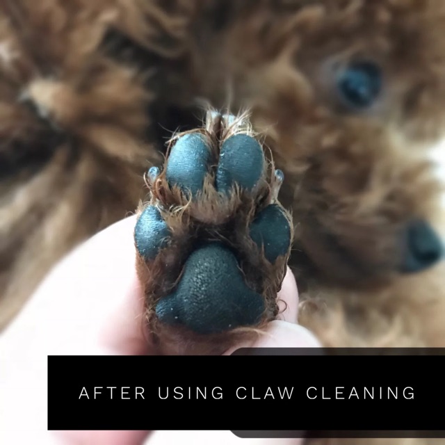 Dr Paw foot cleaning foam