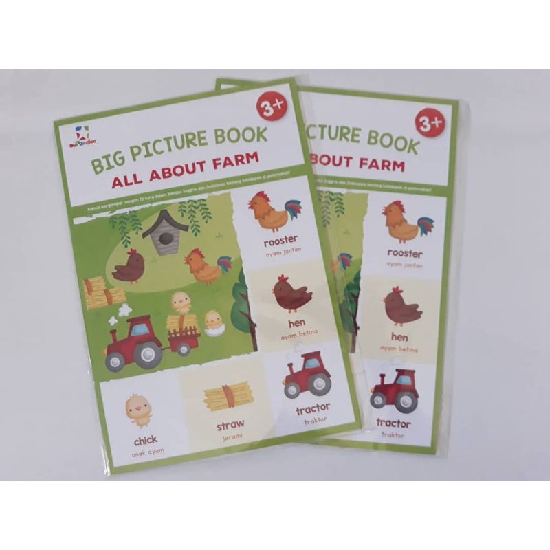 Big Picture Book All About Farm