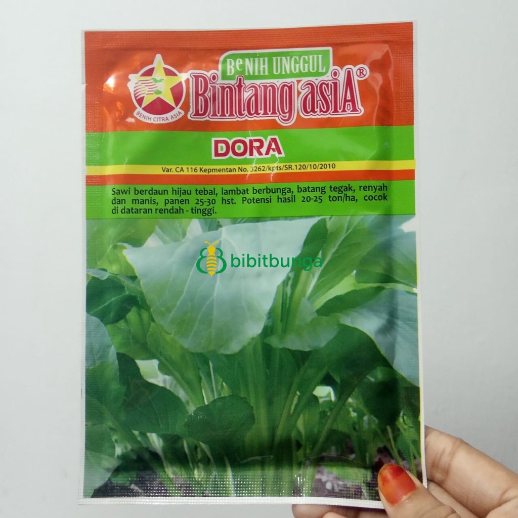 Jual Benih Bibit Sawi Caisim Hijau Dora 25gram Tanaman Sayuran Bintang