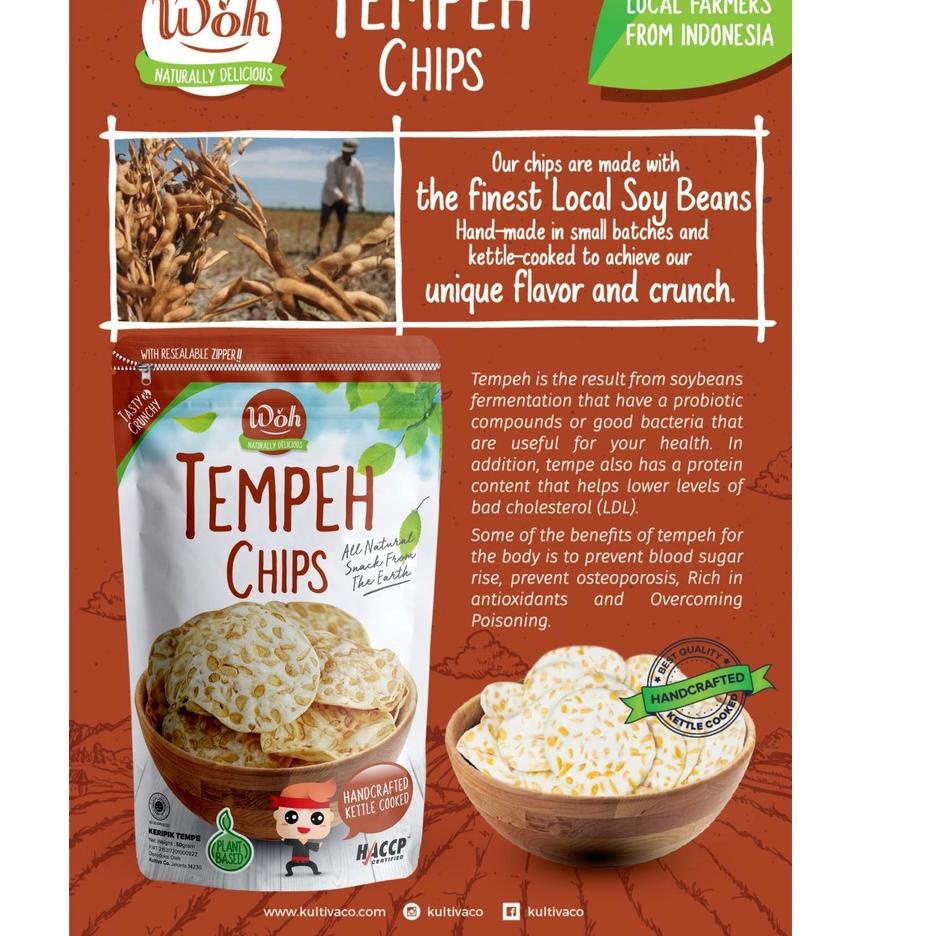 

Paling Laris Woh Keripik Tempe 100 gram (Woh Tempeh Chips 100 gram) L9S~