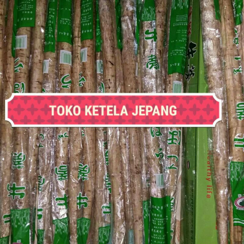 

Bundling ( Gobo 500 gr + Shitake 50 gr )