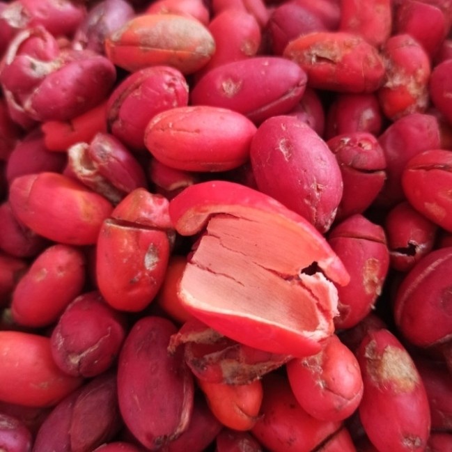 

kulit mlinjo 250gram