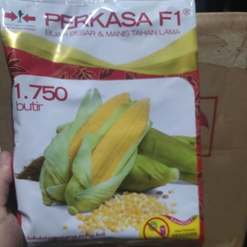 Jual Benih Jagung Manis PERKASA F1 1750 Butir Benih Jagung Perkasa Dari ...