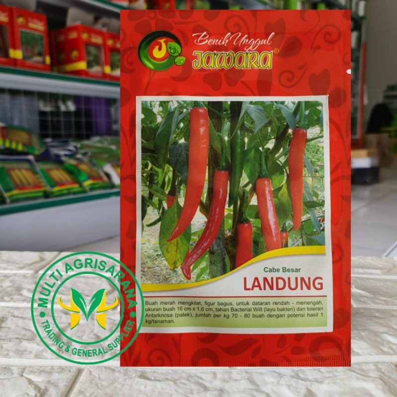 Benih Bibit Cabe Merah Besar LANDUNG 5 gr - Bibit Cabe