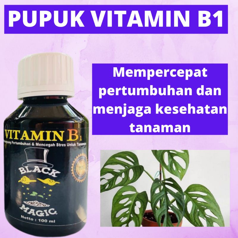 Jual Vitamin B1 Tanaman Agar Cepat Berbunga, Vitamin B1 Untuk Semua ...