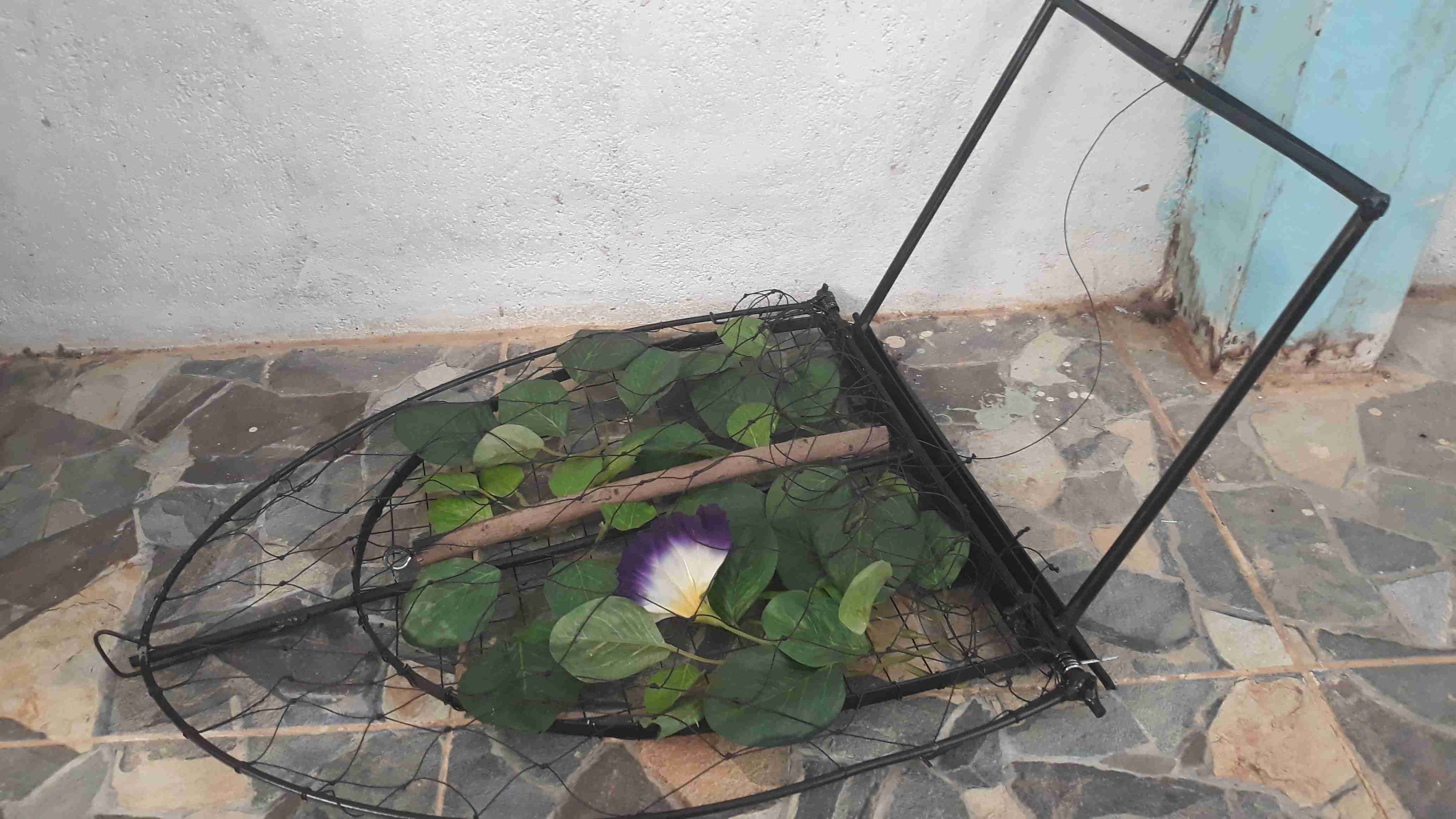 Jebakan Burung Ruak Ruak ,burung Kacer , Murei Pasti Nya Yg Hendap Di Tanah