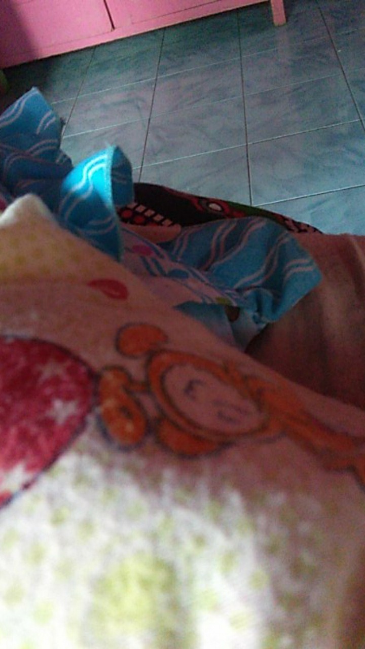 Mika Samir 20x20 Dus R10k Nasi Tm2 Dalaman Kotak Nasi