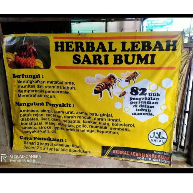 Grosir obat herbal lebah sari bumi (ecer per 2 pcs)
