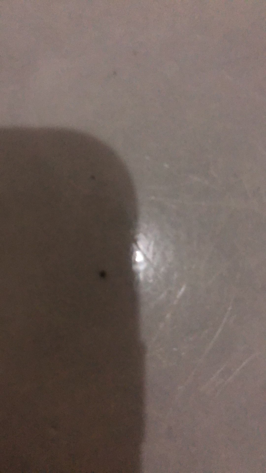 Sikat Kamar Mandi Gagang Kayu Panjang