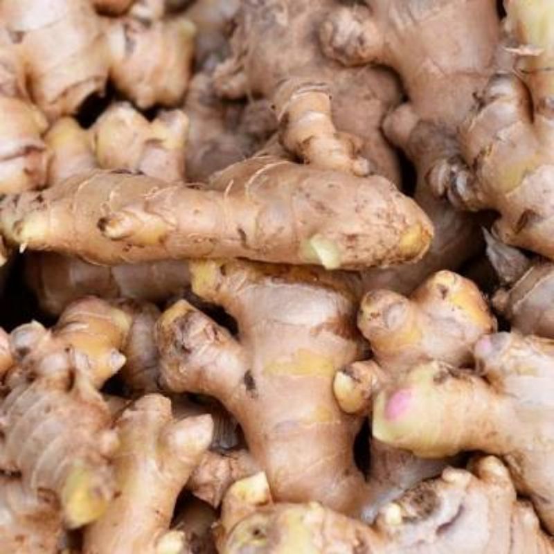 

Jahe Putih 500 gram | naga_exspress