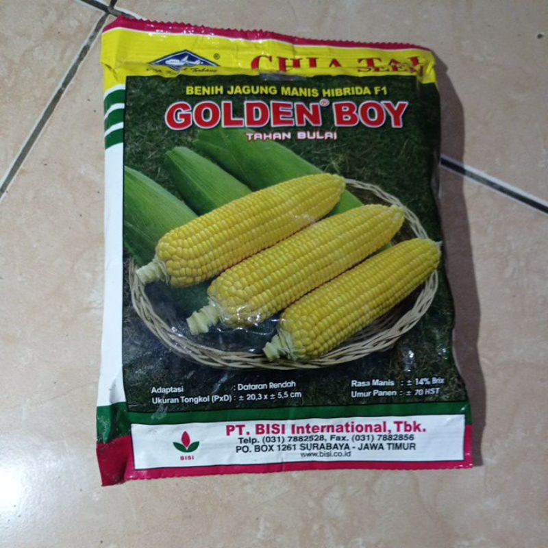 Bibit Jagung Manis Golden Boy 250 gram
