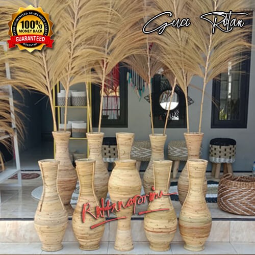 Jual Pohon Rotan Terlengkap & Harga Terbaru Februari 2023 | Shopee ...