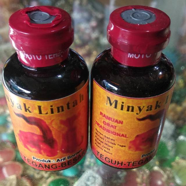 Minyak Lintah Tapa Berkhasiat Terbukti Uji Kejantanan Pria Grosir