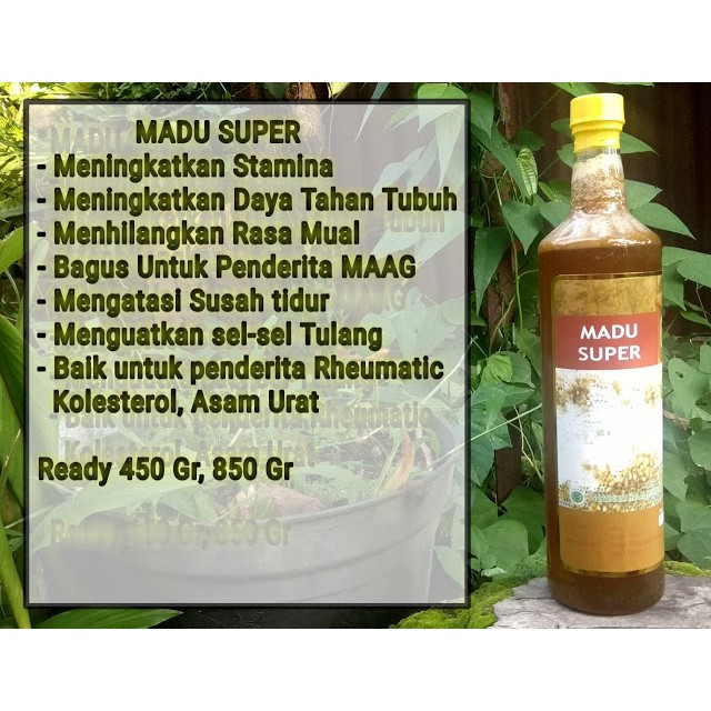 

MADU SUPER 450gr - MADU KOTA BATU - MADU dan BEE POLLEN