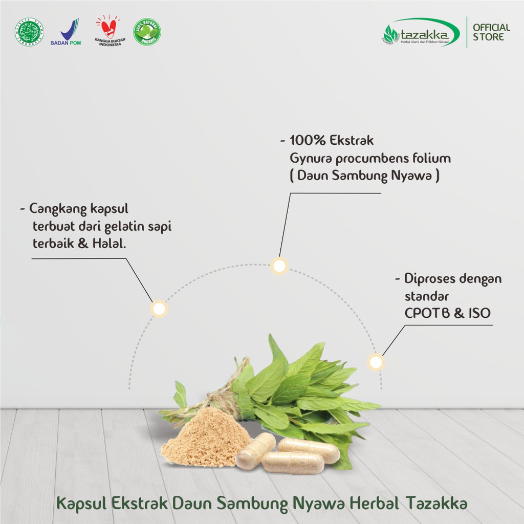 Sambung nyawa obat herbal menurunkan kolesterol dan menurun kan kadar gula darah | ISI 60 Kapsul