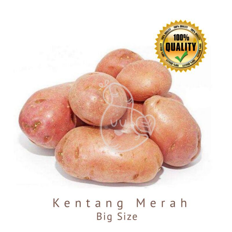

Kentang Merah 1000g / Ubimart Official