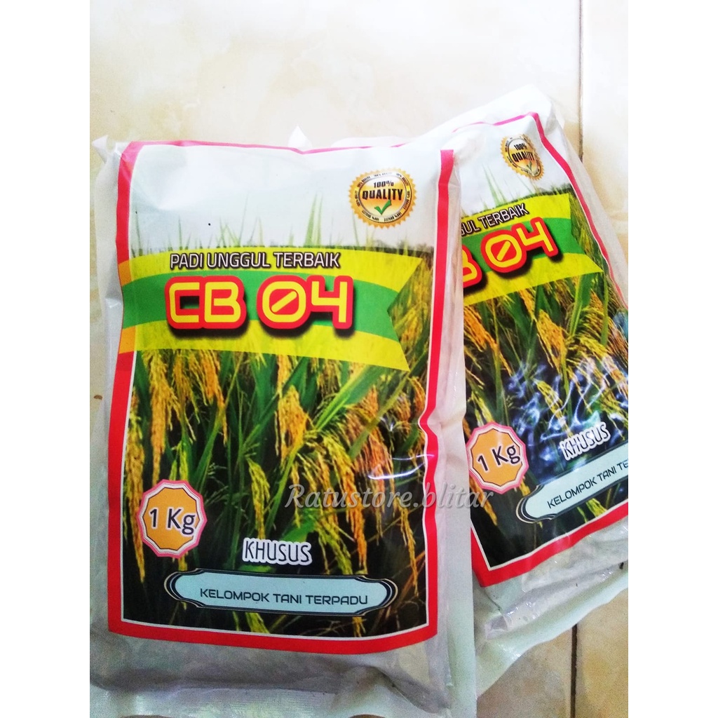 BENIH PADI UNGGUL|BENIH PADI CAKRABUANA 04| BENIH PADI CB 04| BENIH PADI LOKAL| BENIH PADI GALUR|BER