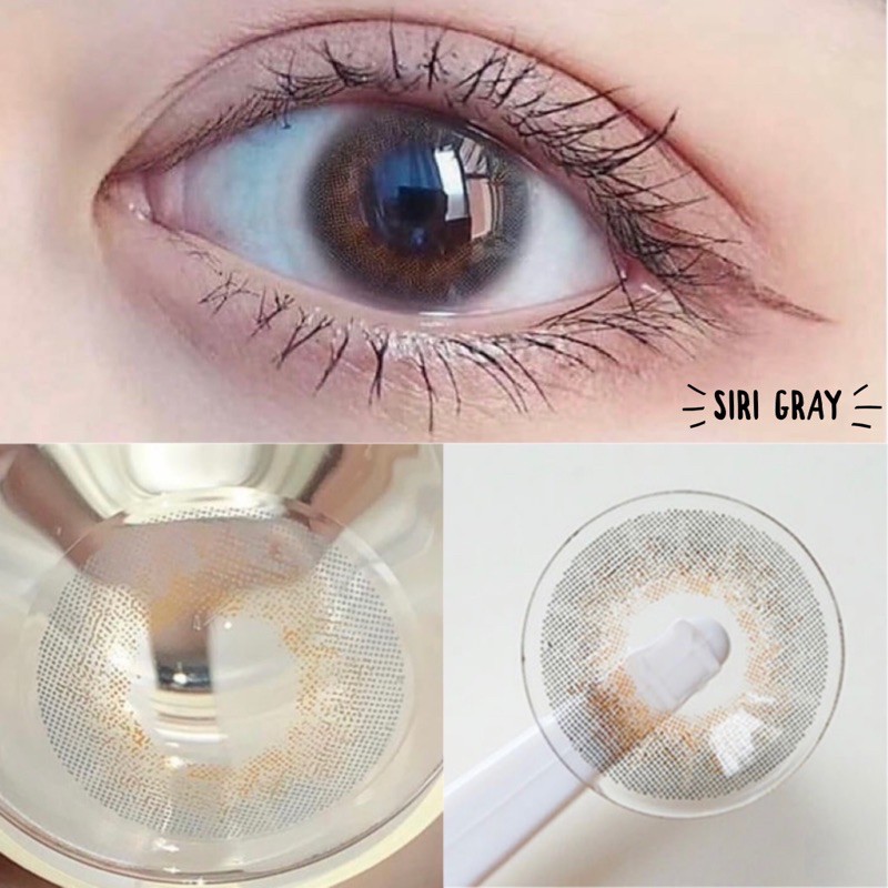 siri brown grey gray softlens korea natural silicone hydrogel