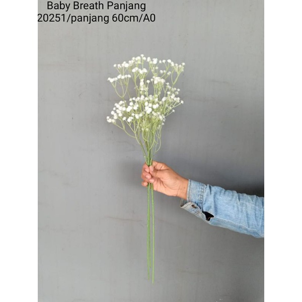 Baby Breath Panjang 20521 [BEST SELLER]