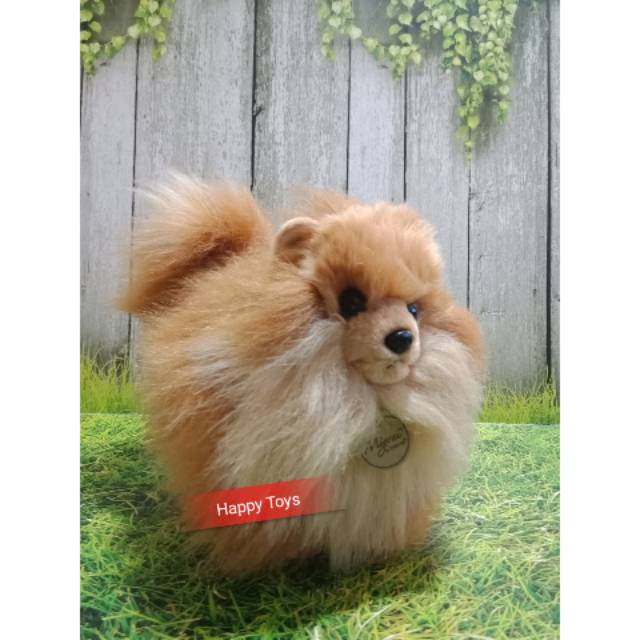Boneka Anjing Mini Pom