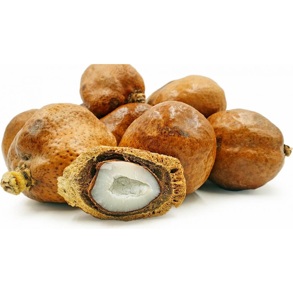 Buah Zuriat Ibnu Sina 1Kg / Zuriat Mesir Original / Premium Zuriat Promil Gold