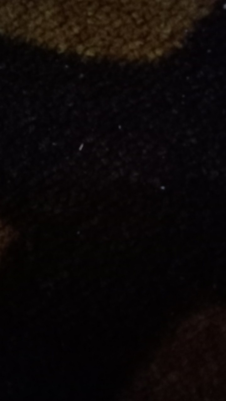 Sendok Takar Kopi 7gr Bubuk Teh Gula Kue Tepung Coffee Spoon 0.25oz