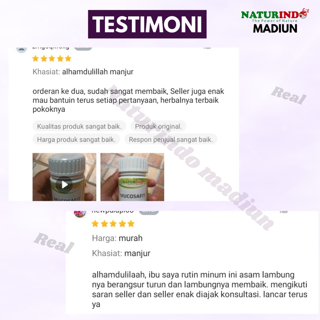 Obat Maag Magh Mah Mag Kronis Herbal Asam Lambung Kembung Mual Gerd Bau Mulut Diare Herbal BPOM Halal Mucosafit Naturindo-2