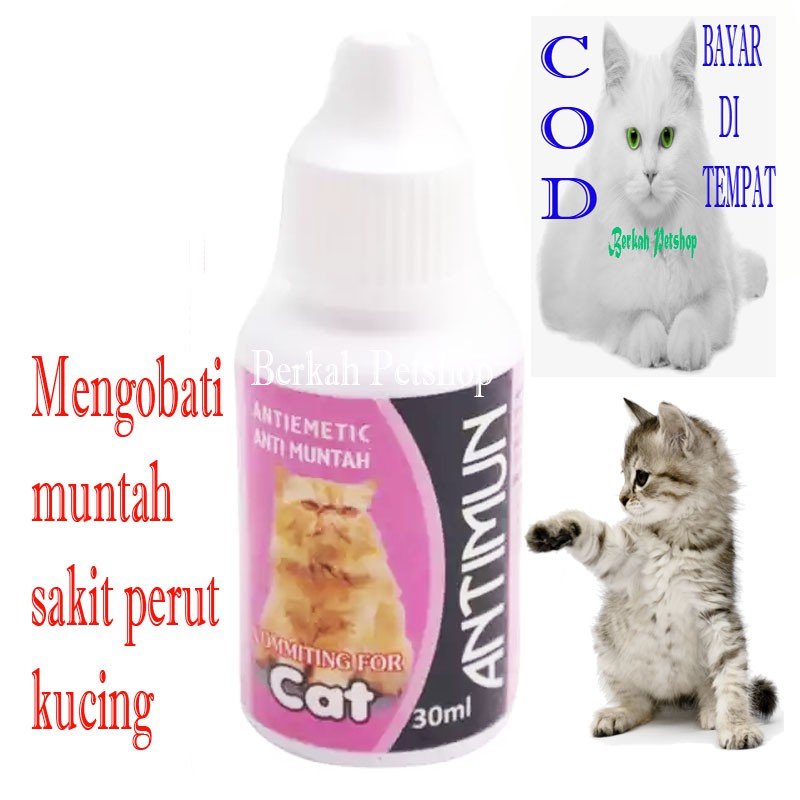 Obat kucing muntah mual demam antimun