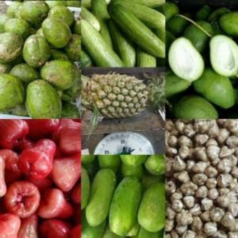

paketan rujak