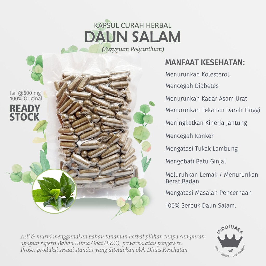 

DAUN SALAM 200 x 600mg Kapsul Curah Herbal Asam Urat Batu Ginjal Kolesterol Tukak Lambung Hipertensi