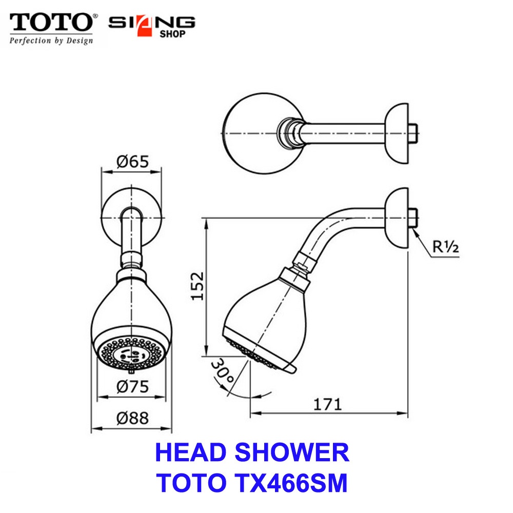 Head Shower TOTO TX466SM