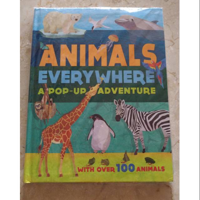 Animals Everywhere Pop Up book