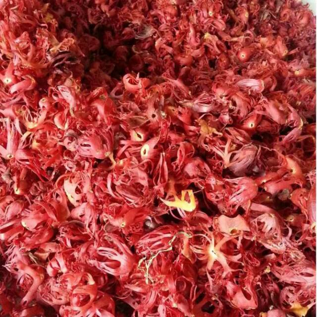 Jual Bunga pala kering 20gr / sempra puli Indonesia|Shopee Indonesia