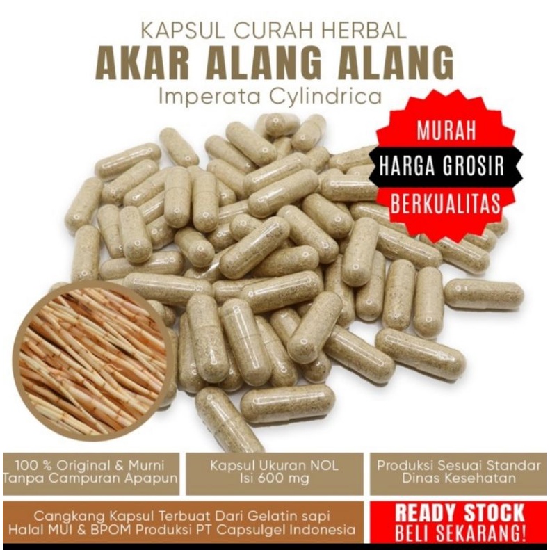 kapsul akar alang alang herbal isi 100