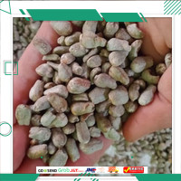 Biji Bunga Benih Porang Spora Super Berkualitas Murah Bergaransi Ecer