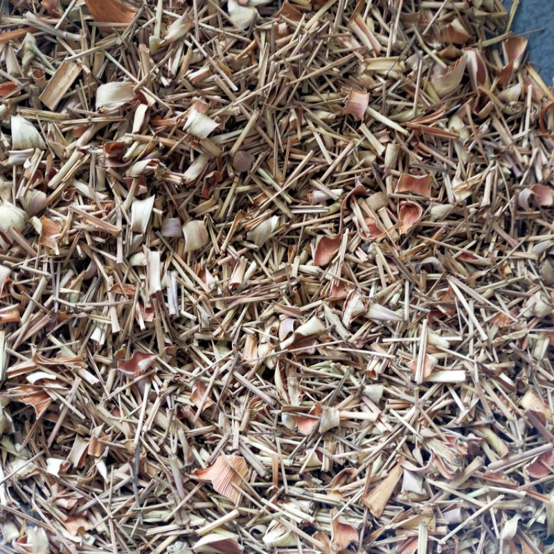 

Sereh Kering 25 Gram