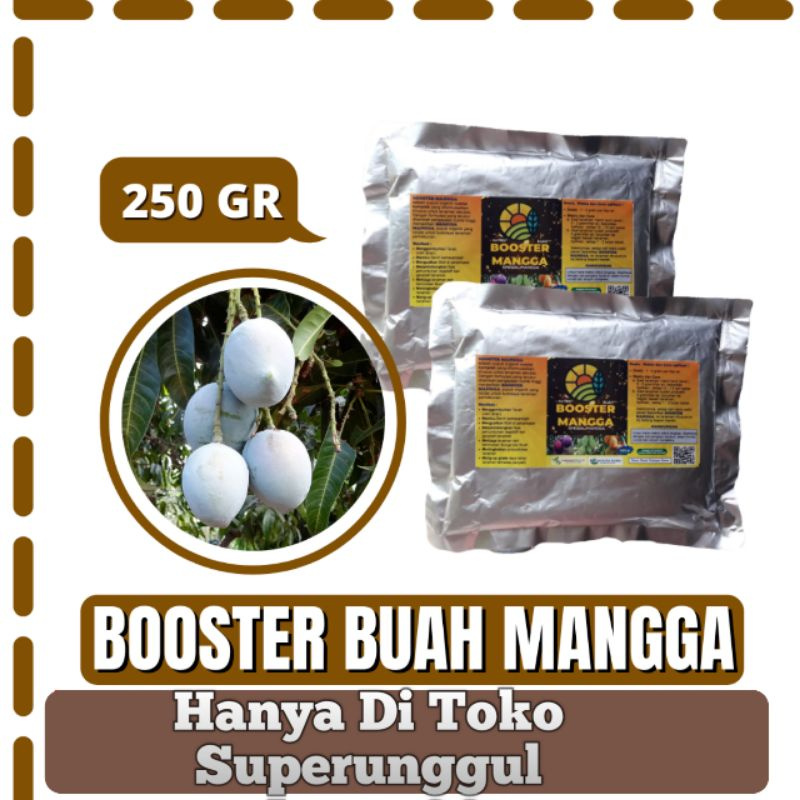 Boster Pupuk Bibit Mangga Agar Bisa Berbuah Dengan Cepat Dan Lebat