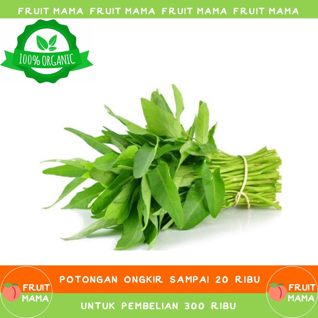 

KANGKUNG Organik 250 Gram| Fruit Mama | Buah Impor & Sayur Organik