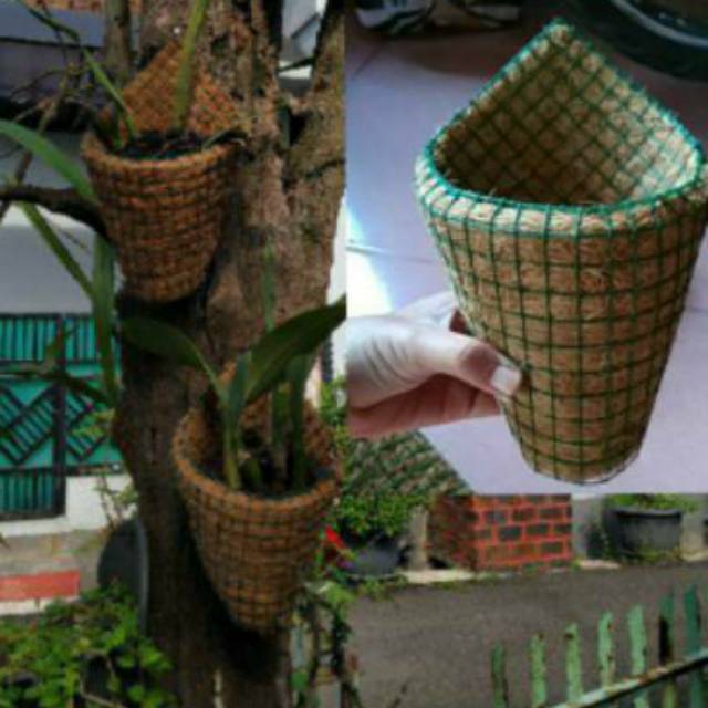  pot  bunga pot  dinding  tempel  Shopee Indonesia